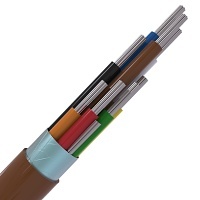 Image of CABS8/BR/100