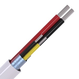 Image of CABS4/WH/100/PD