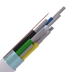 Image of CABS6/WH/100/PR