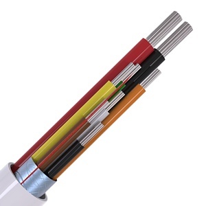 Image of CABS8/WH/100//PD