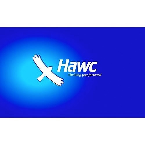 Hawc BB-HWR-12GB5 Hardware RAID Card, 12Gb, RAID 0/1/10/5