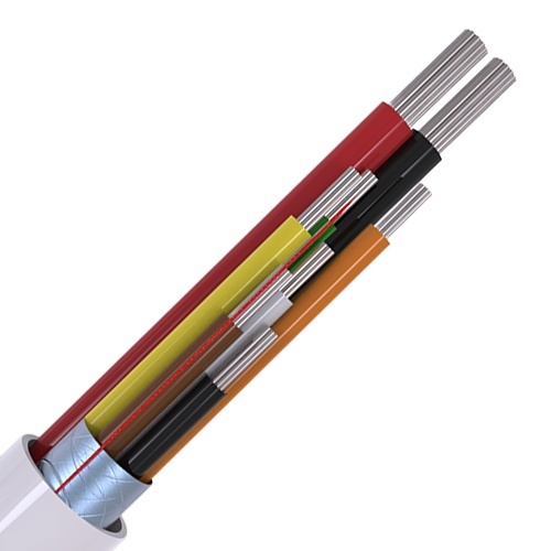 Image of CABS8/WH/100//PD