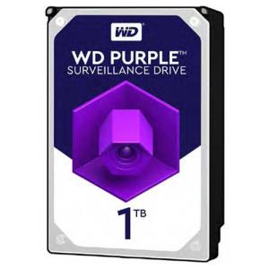 Western Digital WD10PURZ WD Purple Series, 1TB 3.5" Hard Drive, SATA 6GB 5400RPM 64MB Cache, Supports up to 64 HD Cameras 